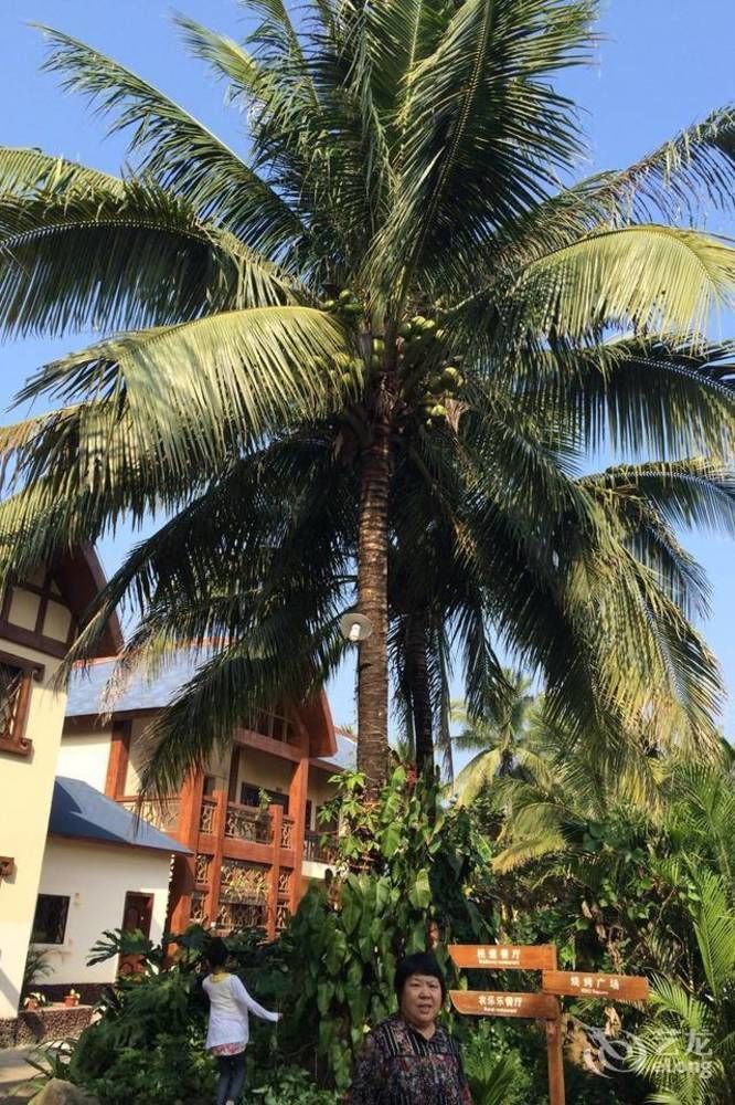 Hainan Bulongsai Resort Hotel Baoting 외부 사진